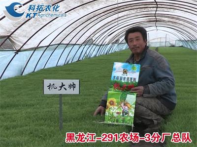 農(nóng)場-3分廠總隊(duì)