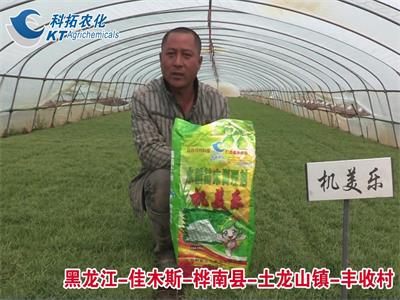 佳木斯-樺南縣-土龍山鎮(zhèn)-豐收村