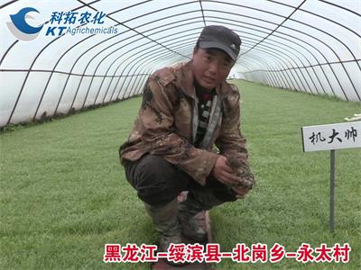 綏濱縣-北崗鄉(xiāng)-永太村