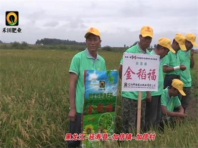 黑龍江-延壽縣-加信鎮(zhèn)-加信村
